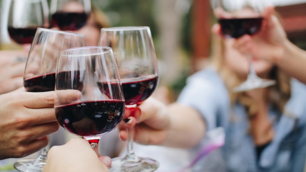 Wine and Dine: Exploring Wine Regions and Pairing Experiences